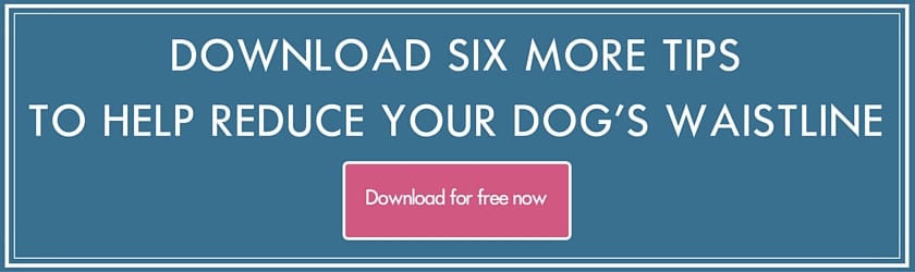 DOWNLOAD SIX MORE TIPS TO HELP REDUCE YOUR DOGS WAISTLINE
